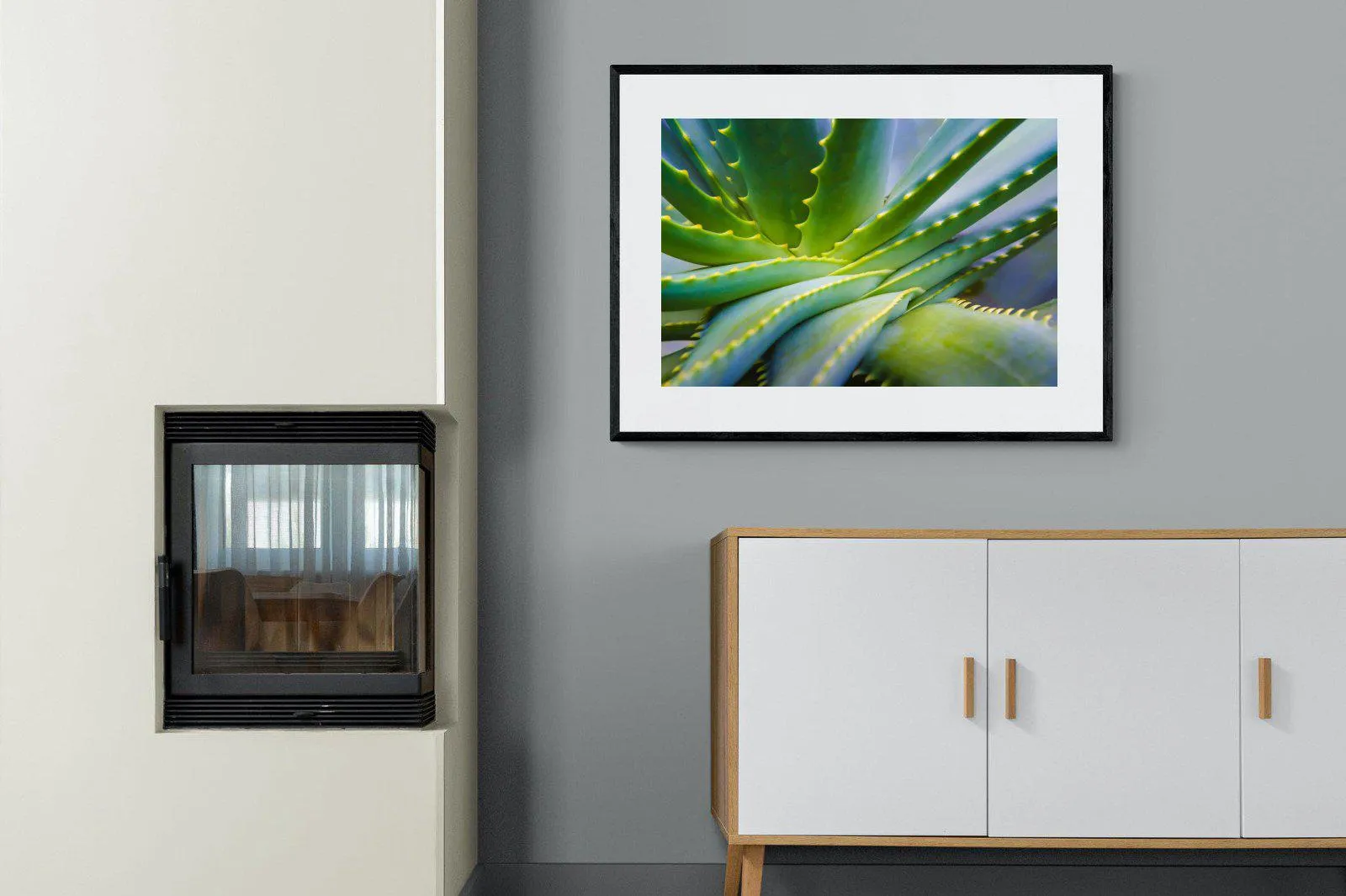 Aloe Vera