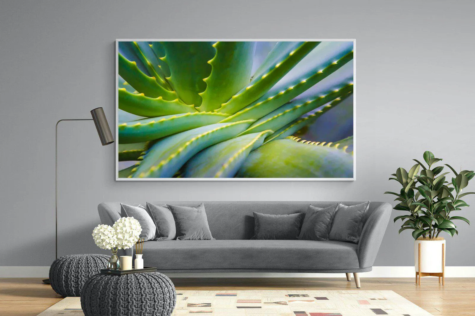 Aloe Vera
