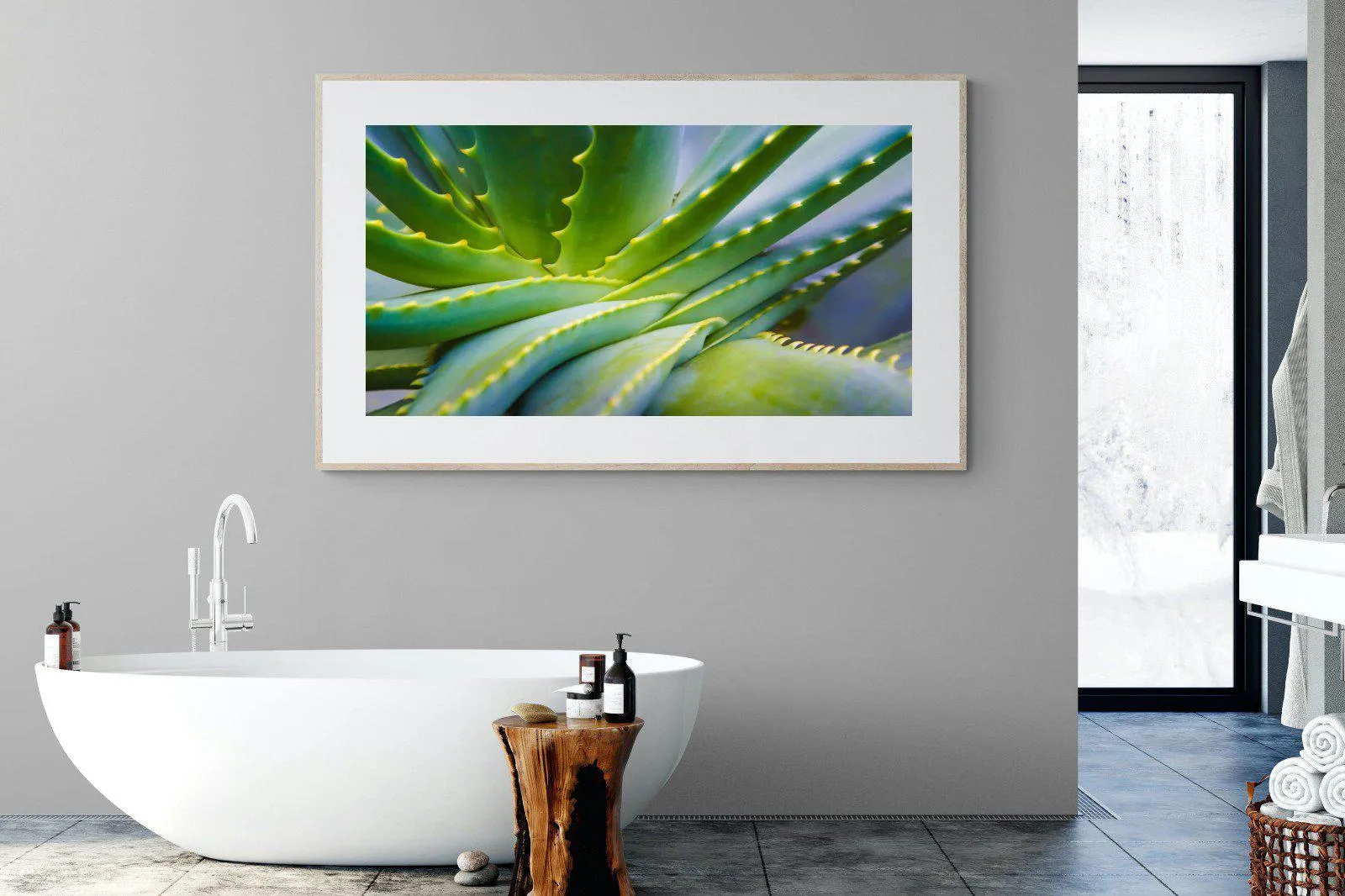 Aloe Vera