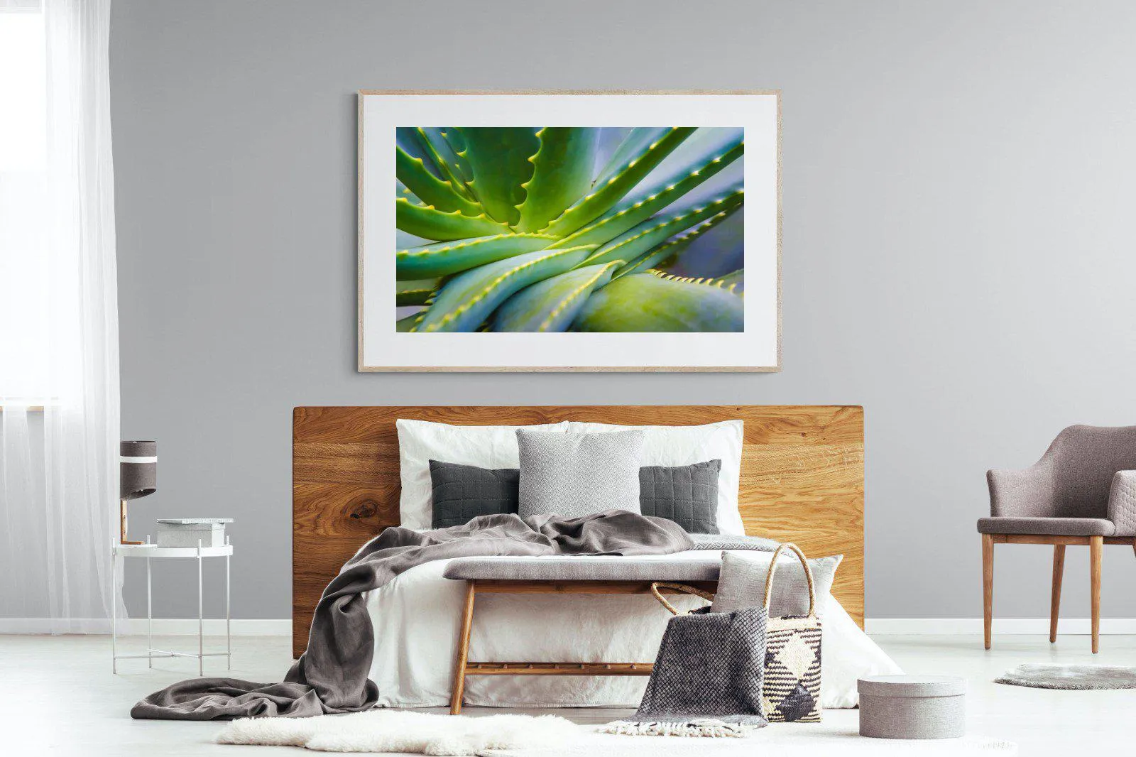 Aloe Vera