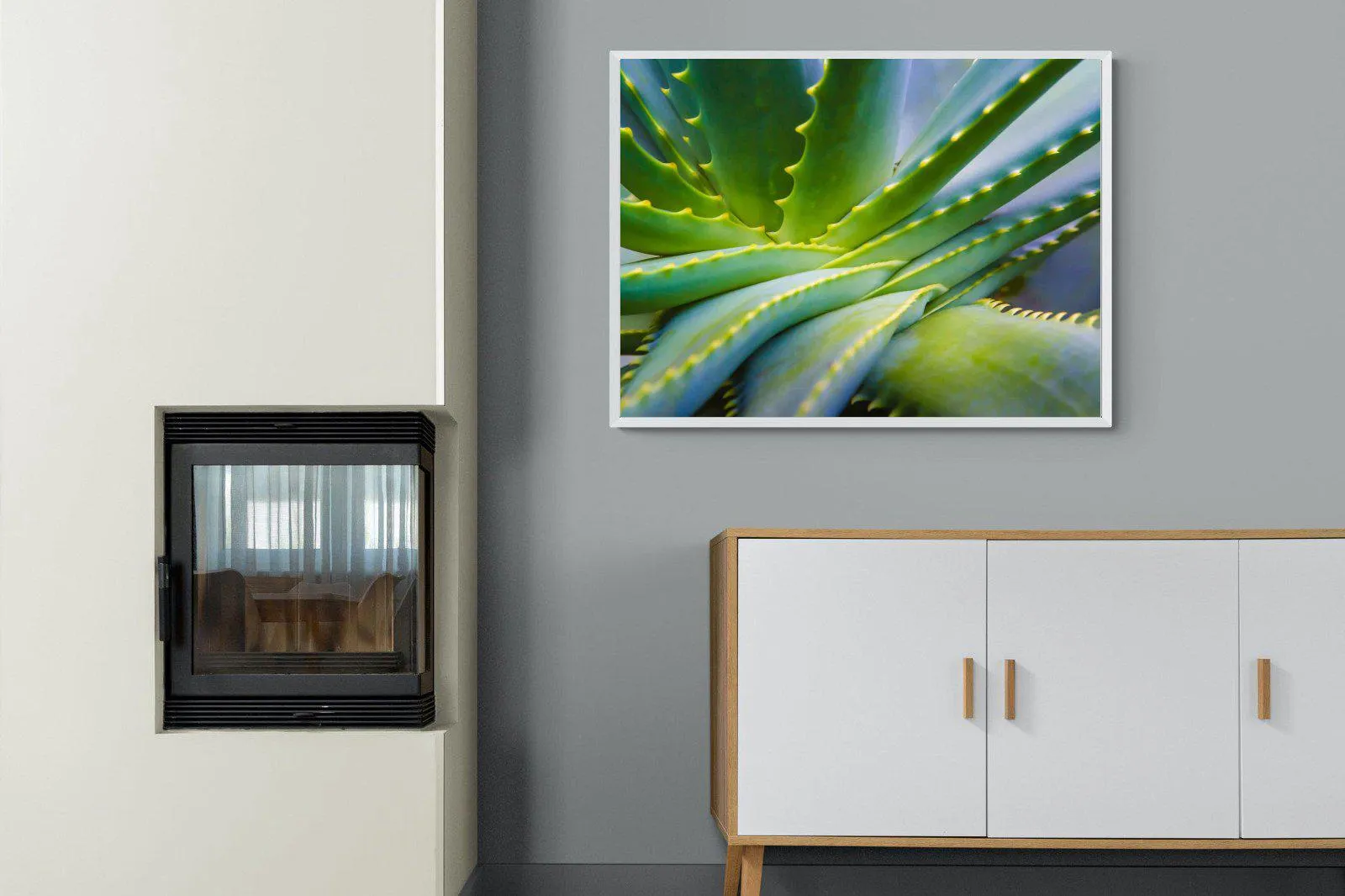 Aloe Vera