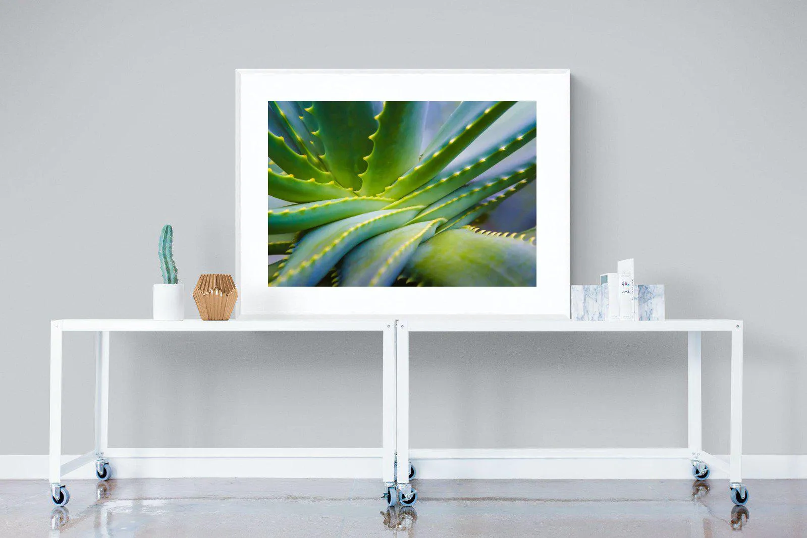 Aloe Vera