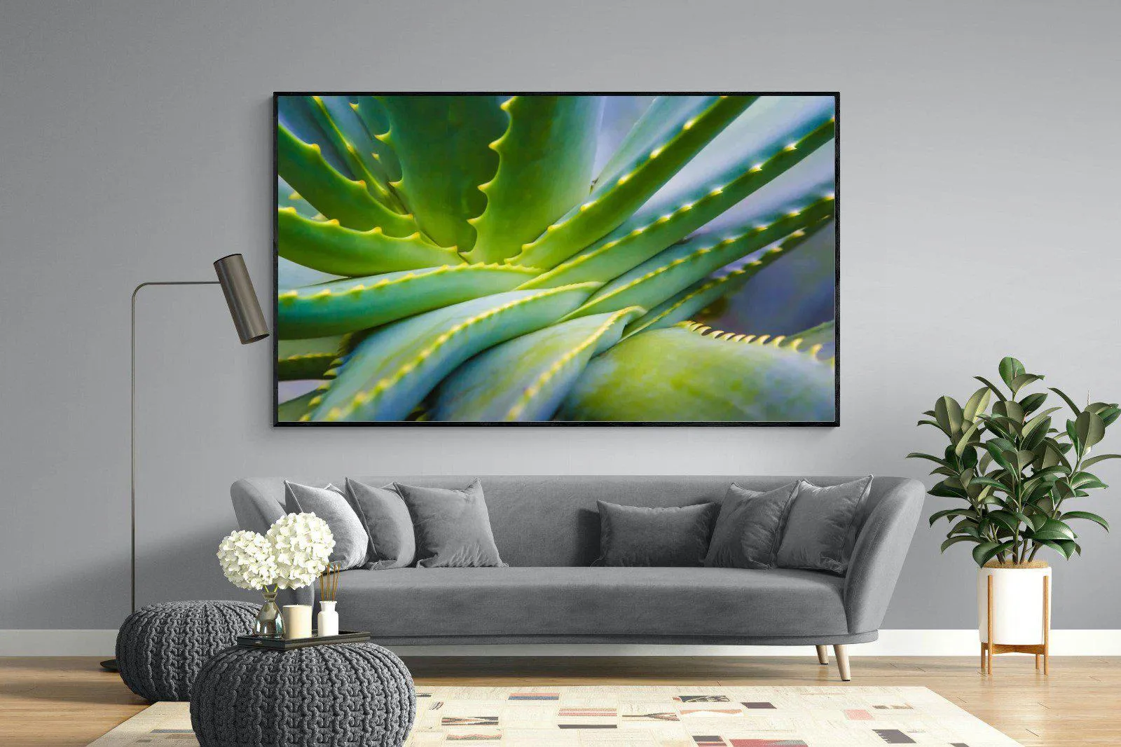 Aloe Vera