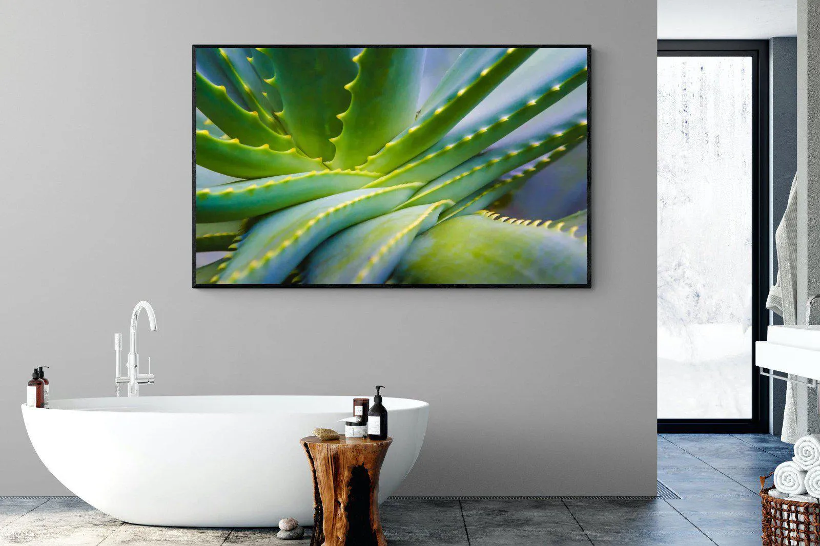 Aloe Vera